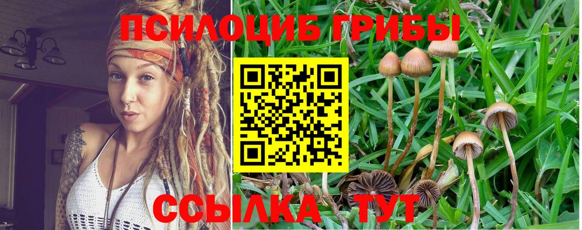 Галлюциногенные грибы Cubensis  Вход с VPN  Псилоцибиновые грибы мухоморы  Киселёвск 